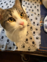 /album/89/whatsapp-image-2026-04-28-at-18-50-19-7-jpeg/